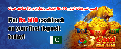 وی آئی پی ہفتہ وار کیش بیک promotion